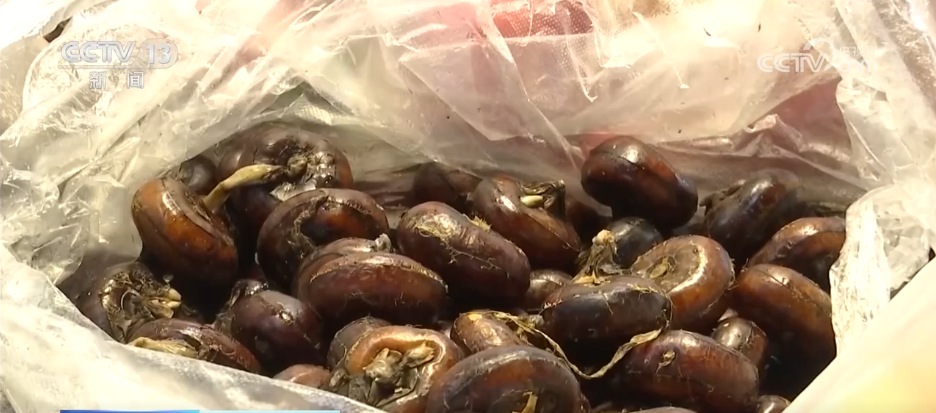 多彩非遗活动“解锁”热闹中国年 各地年货市场开启“热购模式”(图3)